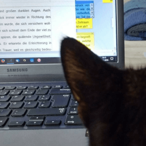 Ich liebe es zu schreiben und die Katze liebt es, dass ich endlich still sitze!