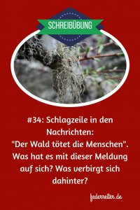 Moos auf einem Ast