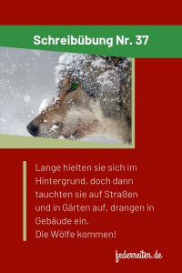 Wolf im Schnee